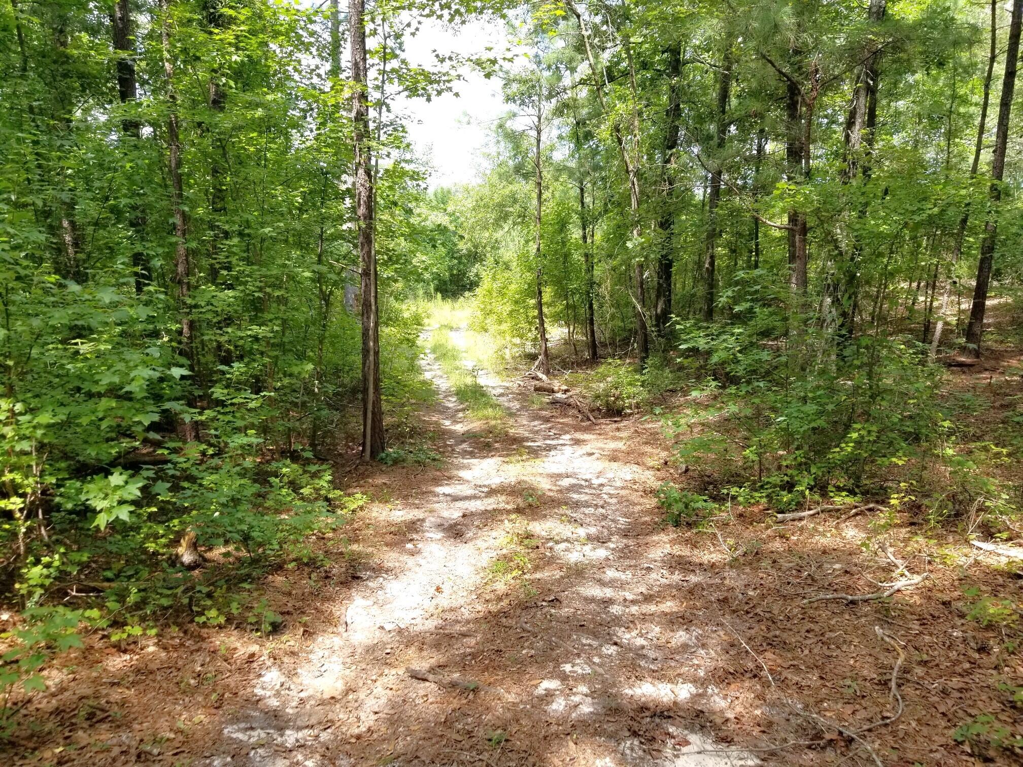 182 State Rd S-9-155 St. Matthews, SC 29135 - Photo 18 of 26 20240820_131850_resized