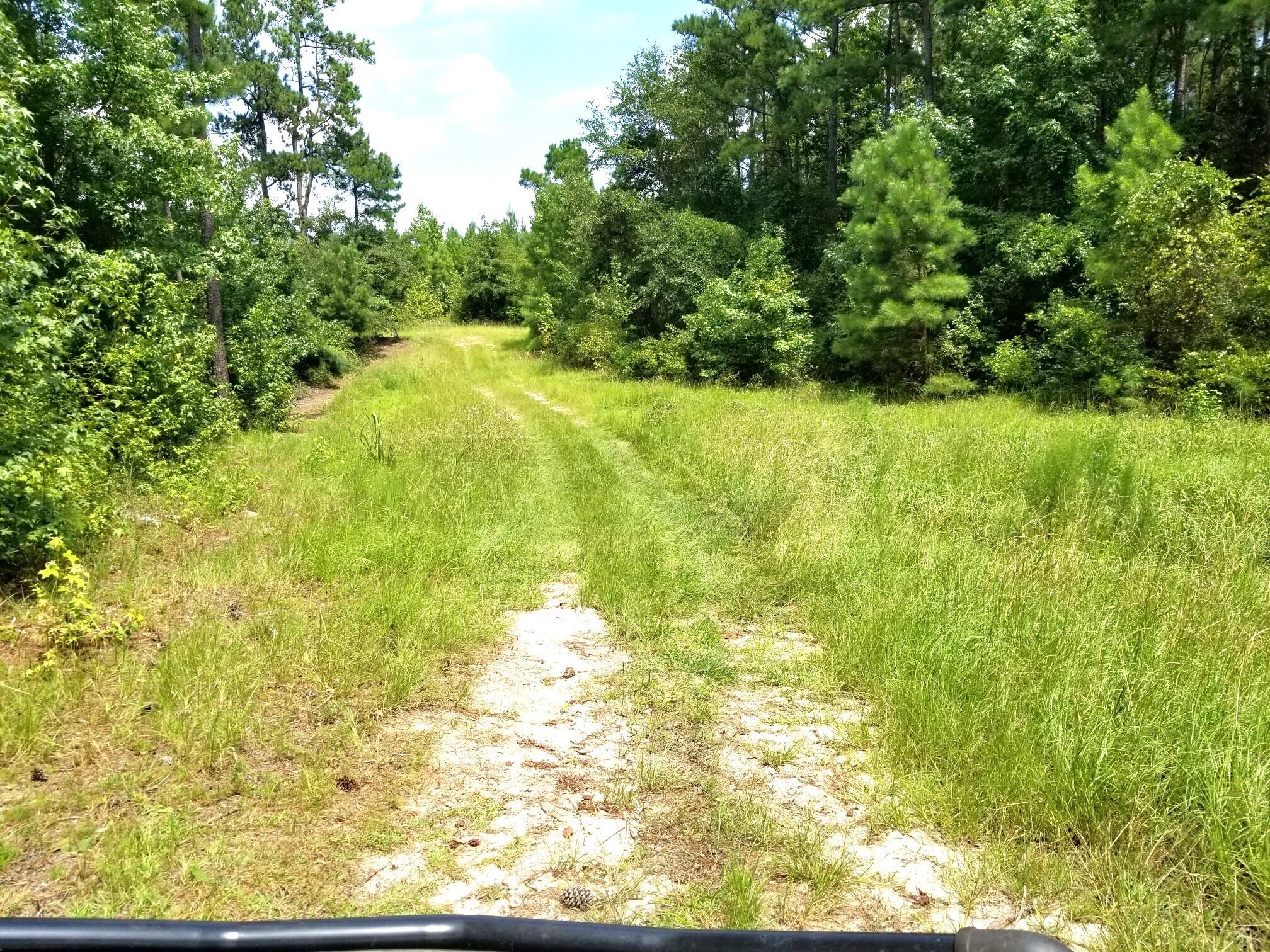 182 State Rd S-9-155 St. Matthews, SC 29135 - Photo 25 of 26 20240820_131918_resized