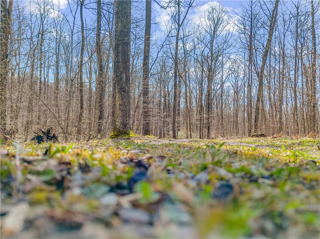 0 Aukerman Road Somerset, PA 15501 - Photo 19 of 28