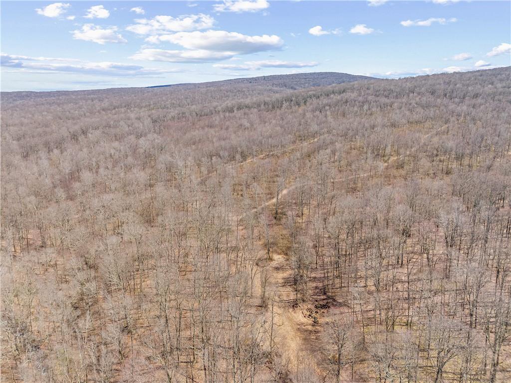 0 Aukerman Road Somerset, PA 15501 - Photo 22 of 28