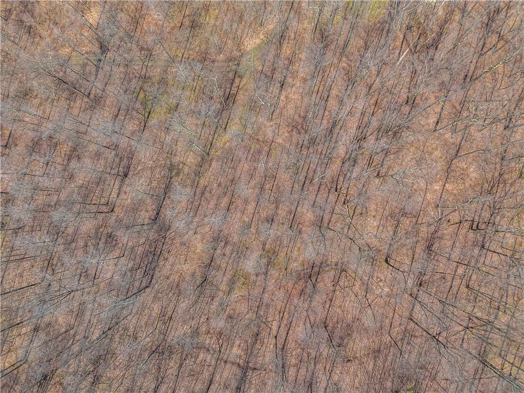 0 Aukerman Road Somerset, PA 15501 - Photo 28 of 28