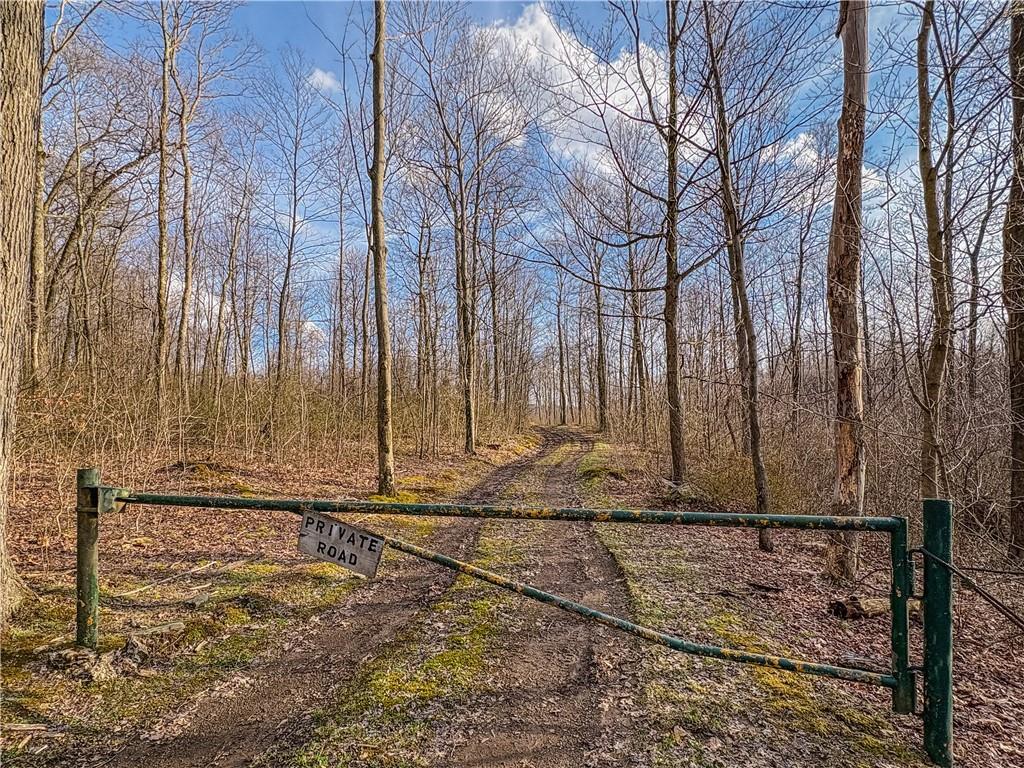 0 Aukerman Road Somerset, PA 15501 - Photo 3 of 28