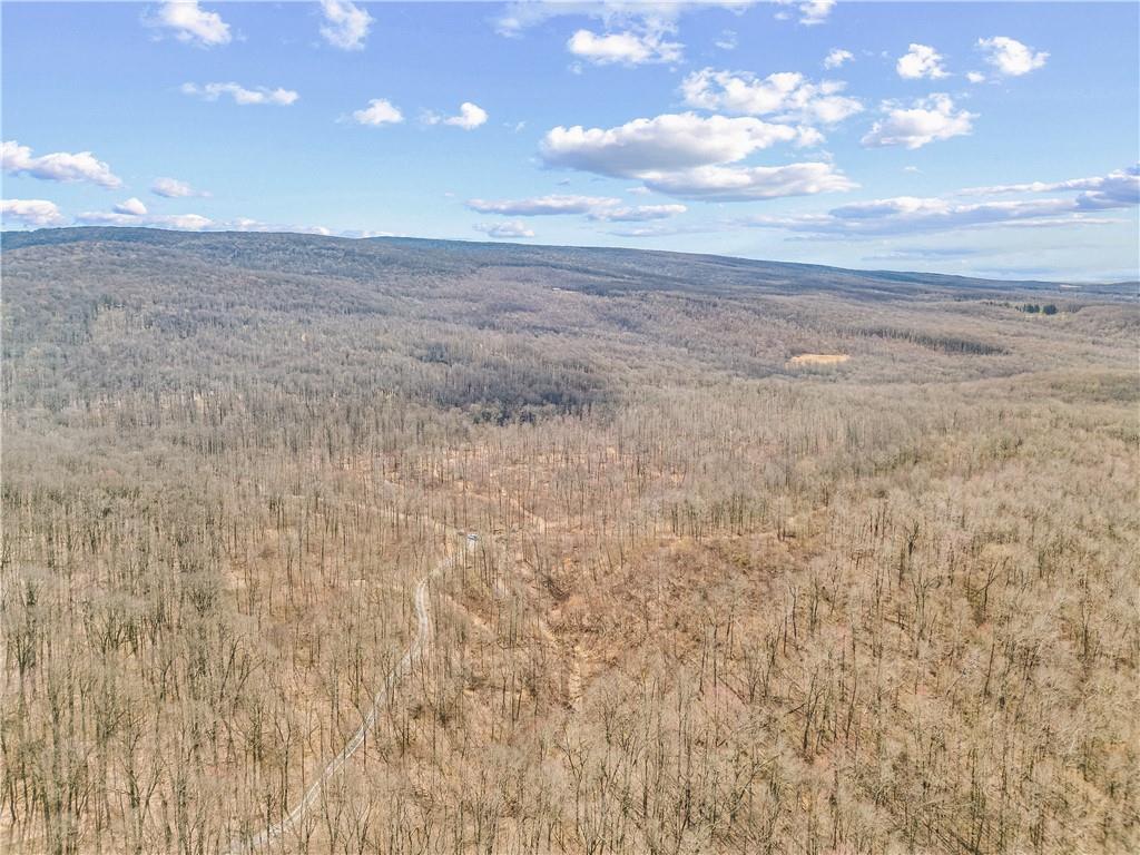 0 Aukerman Road Somerset, PA 15501 - Photo 4 of 28