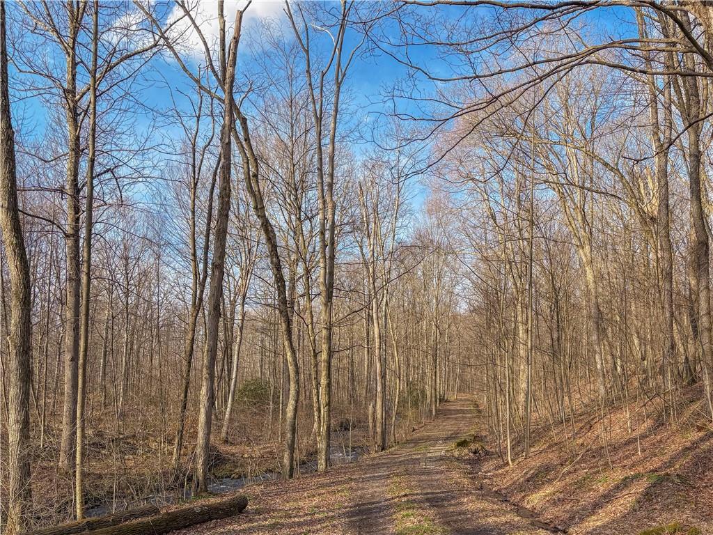 0 Aukerman Road Somerset, PA 15501 - Photo 5 of 28