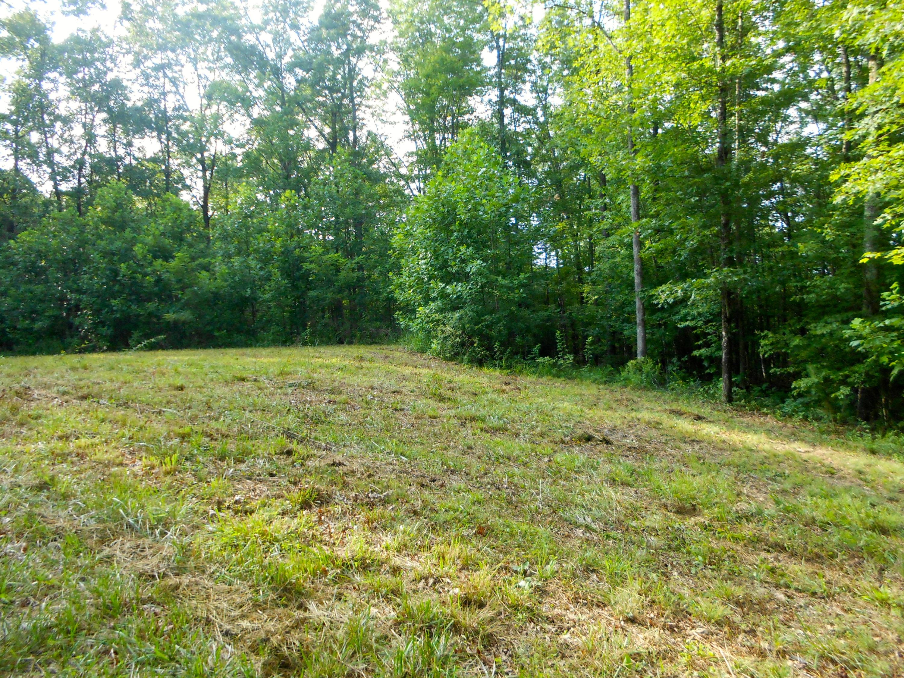 Valley Ridge Road Jamestown, TN 38556 - Photo 11 of 35 DSCN8876