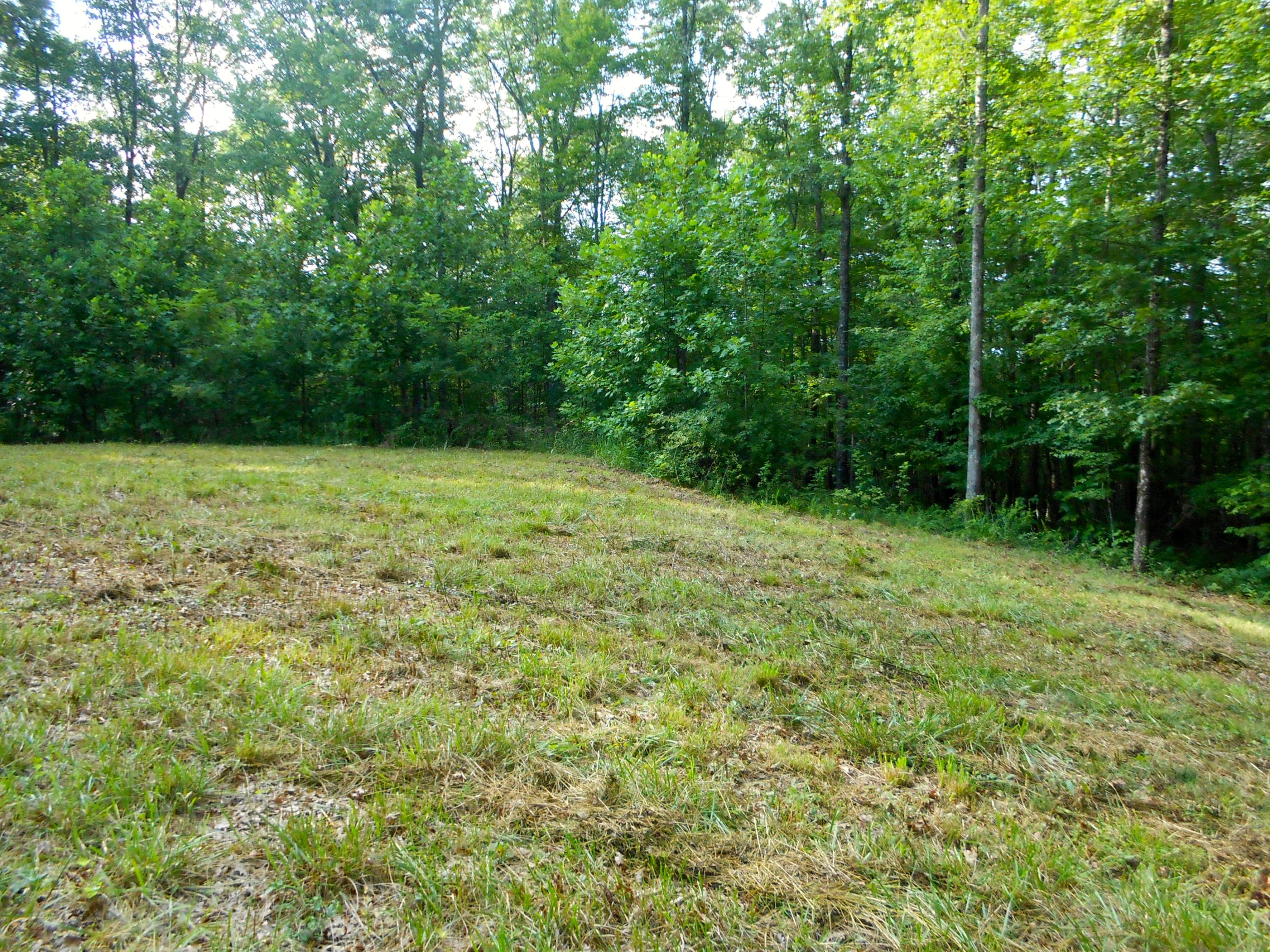 Valley Ridge Road Jamestown, TN 38556 - Photo 12 of 35 DSCN8877