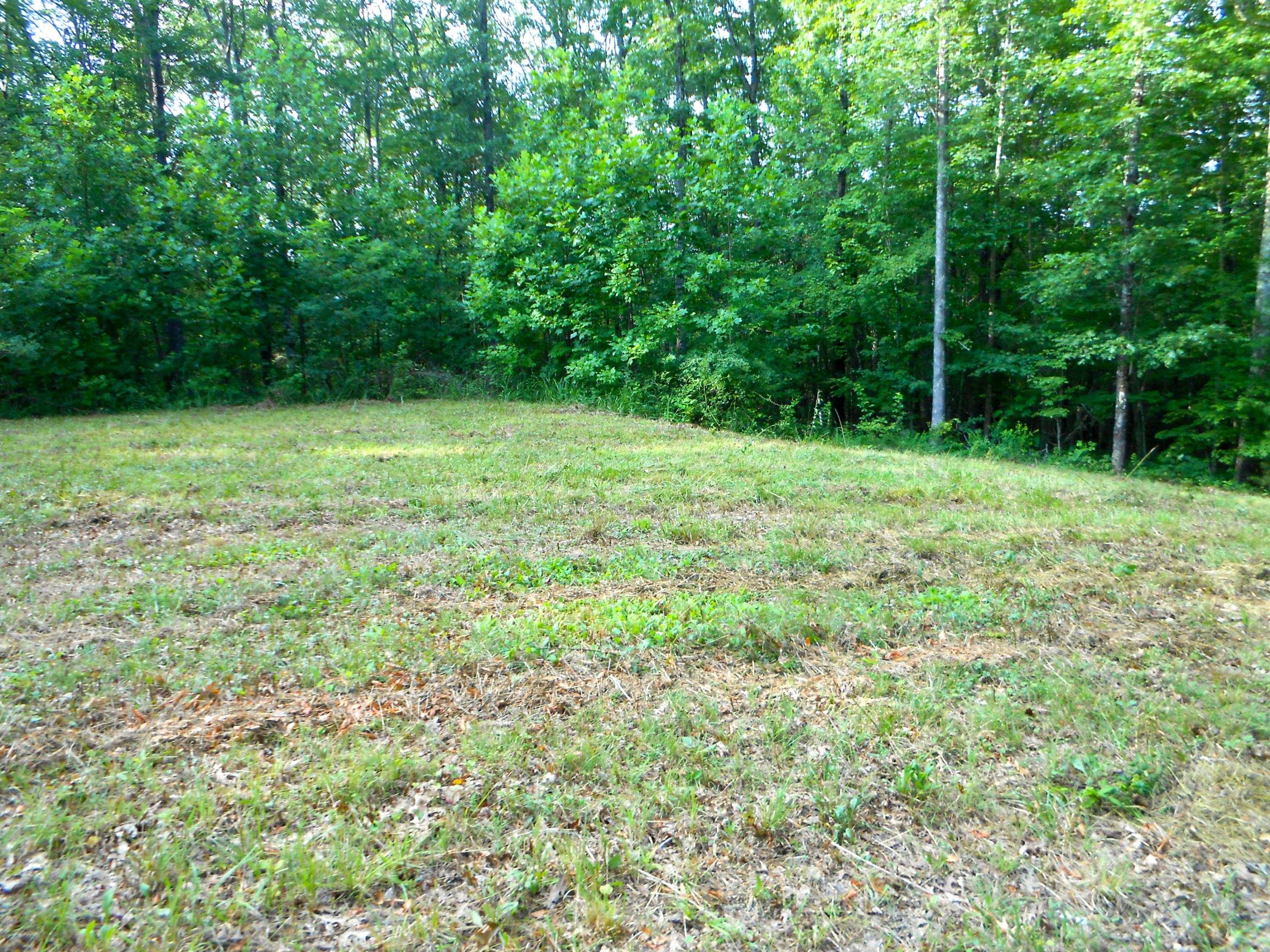 Valley Ridge Road Jamestown, TN 38556 - Photo 14 of 35 DSCN8880