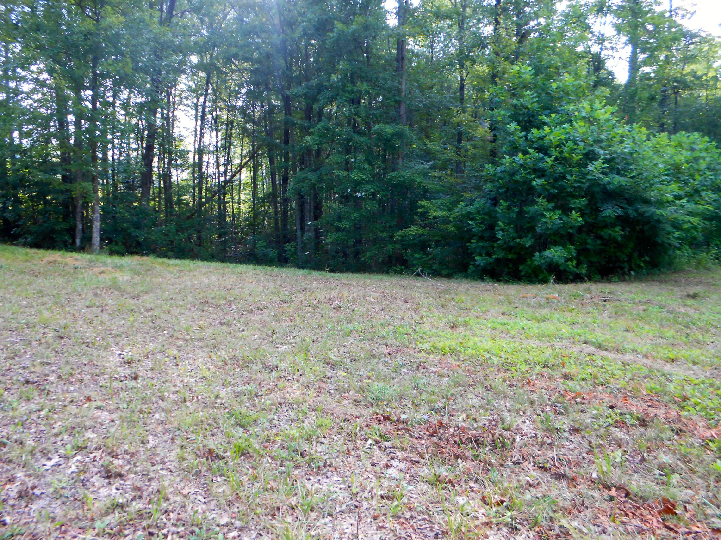 Valley Ridge Road Jamestown, TN 38556 - Photo 16 of 35 DSCN8882