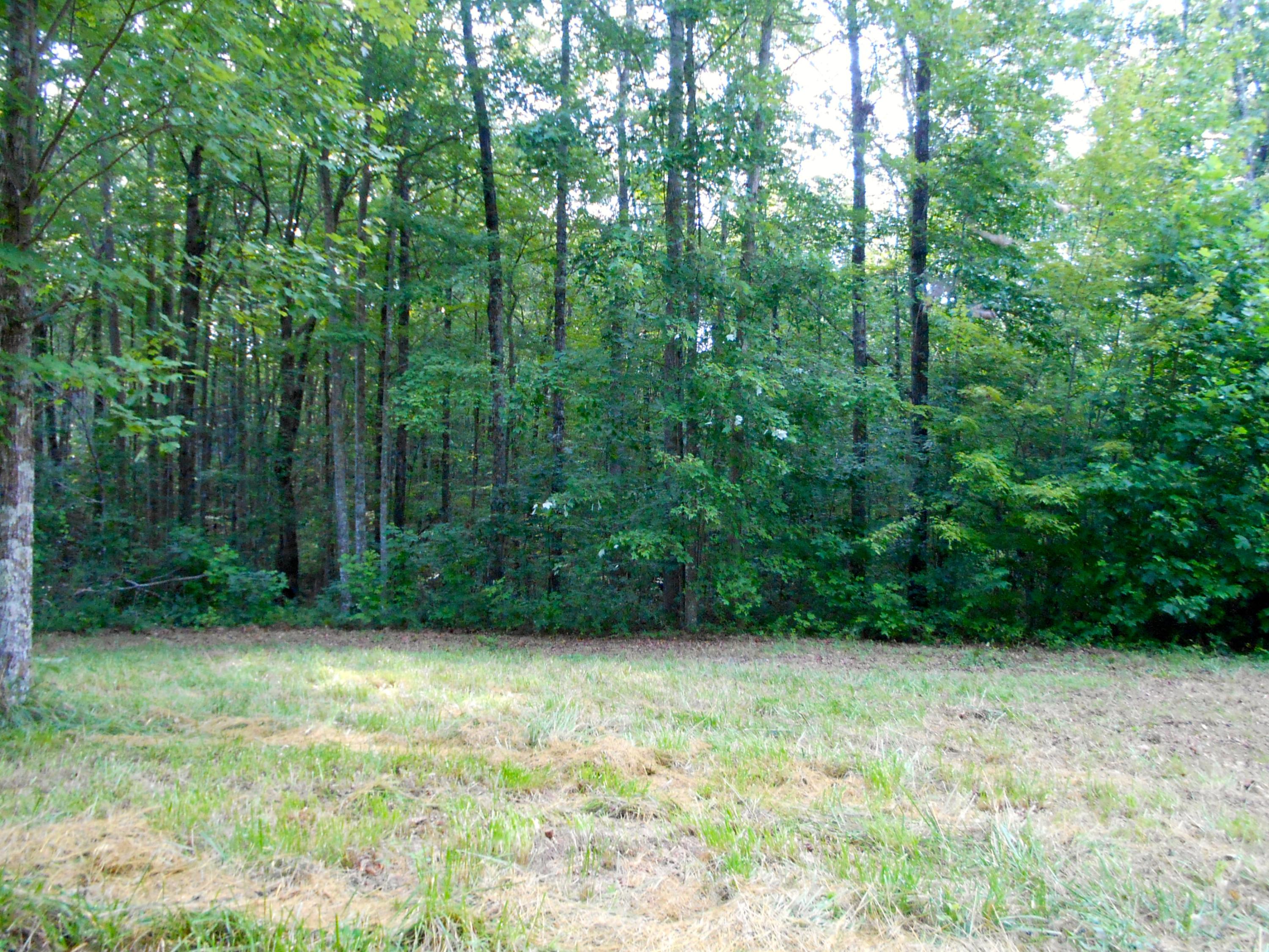 Valley Ridge Road Jamestown, TN 38556 - Photo 19 of 35 DSCN8885