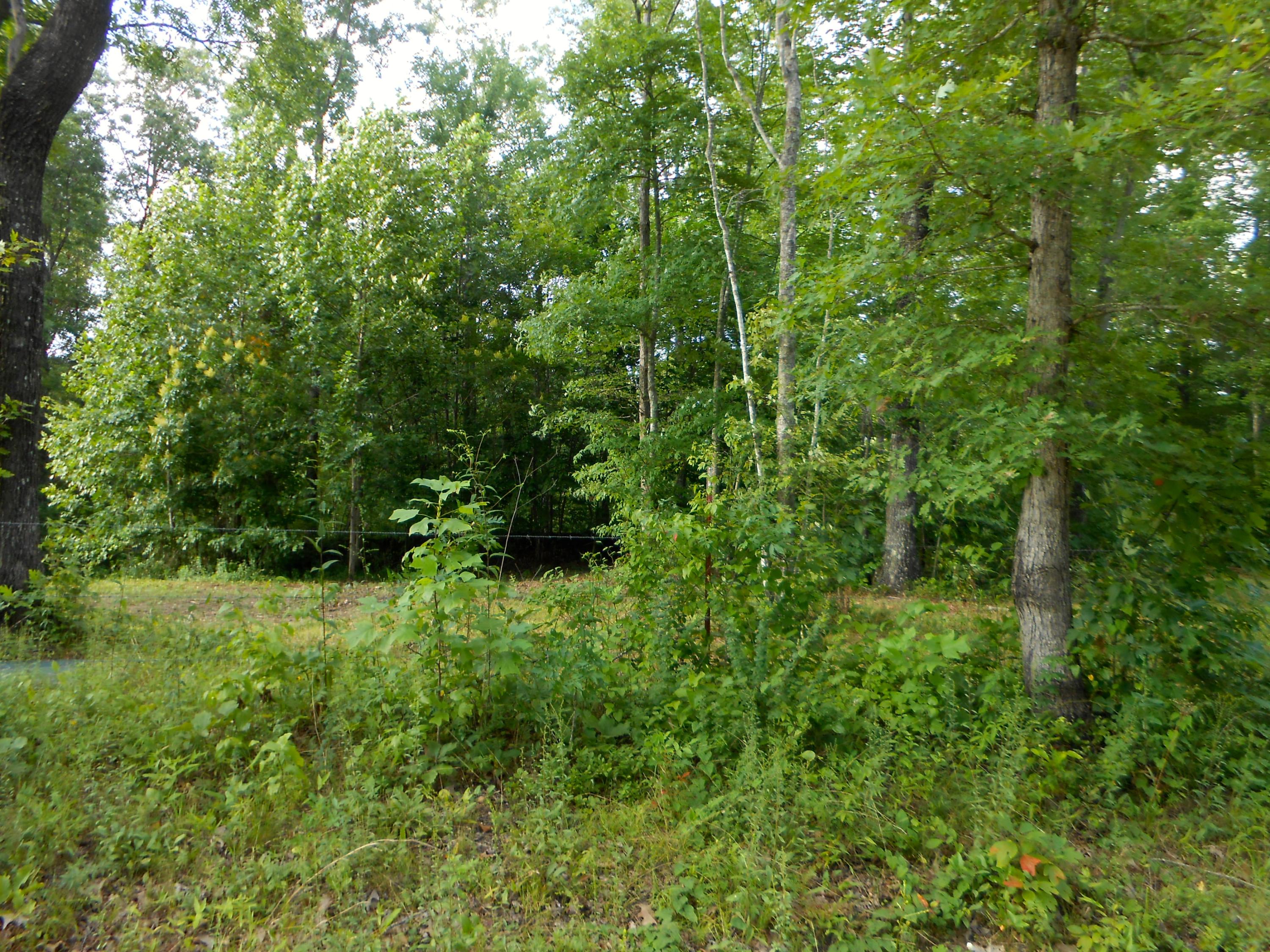 Valley Ridge Road Jamestown, TN 38556 - Photo 21 of 35 DSCN8889