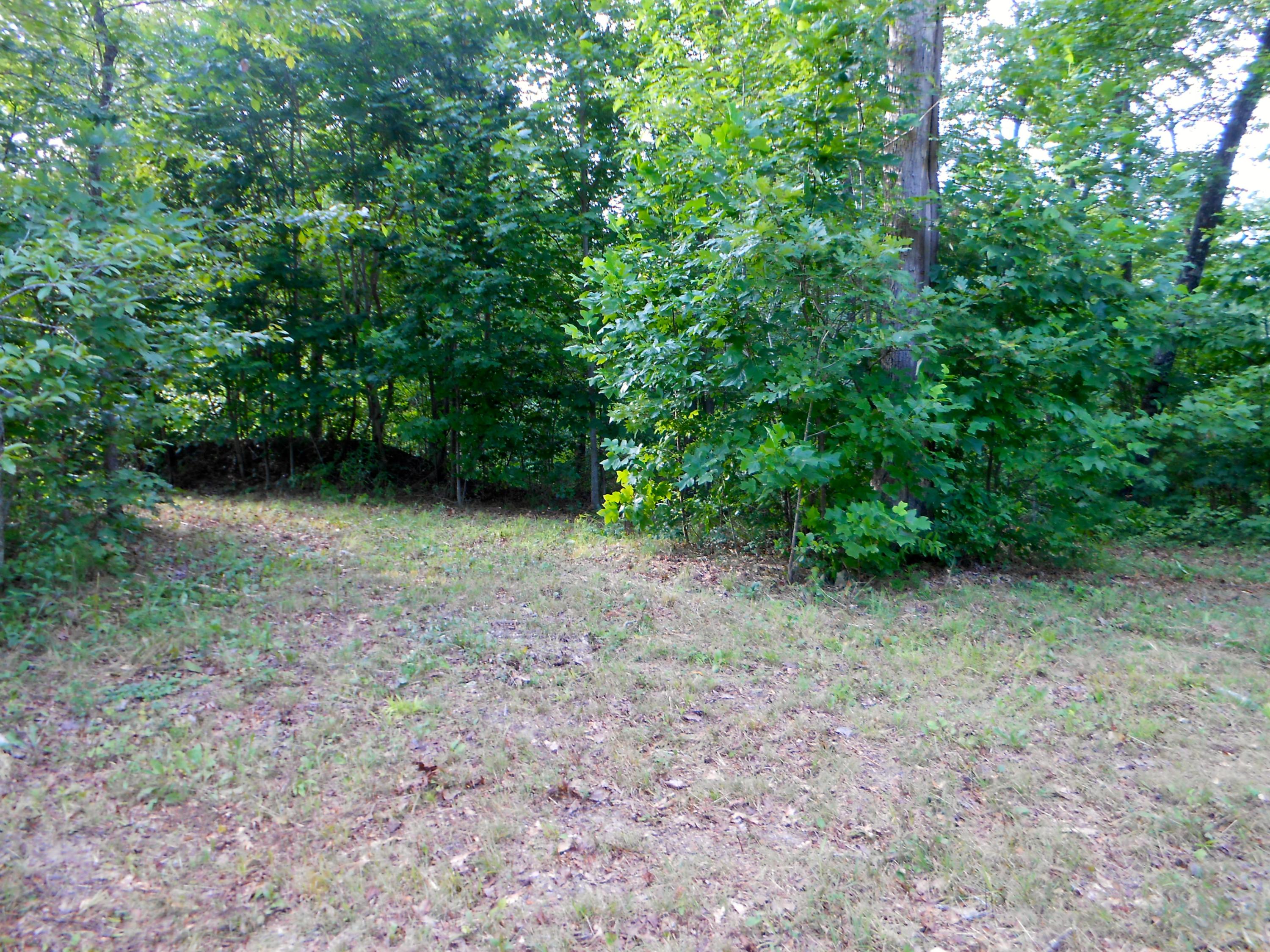 Valley Ridge Road Jamestown, TN 38556 - Photo 22 of 35 DSCN8890