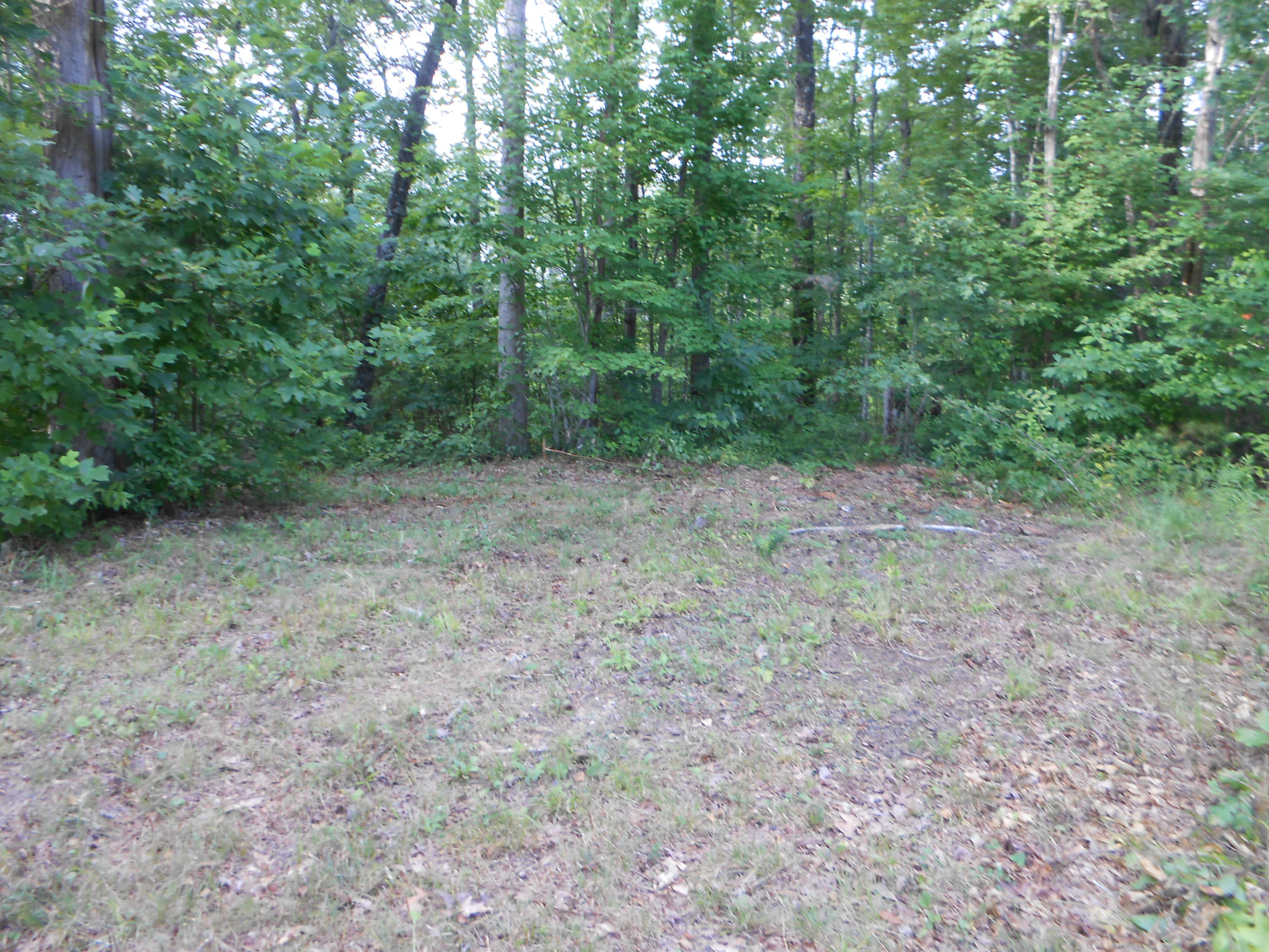 Valley Ridge Road Jamestown, TN 38556 - Photo 23 of 35 DSCN8891