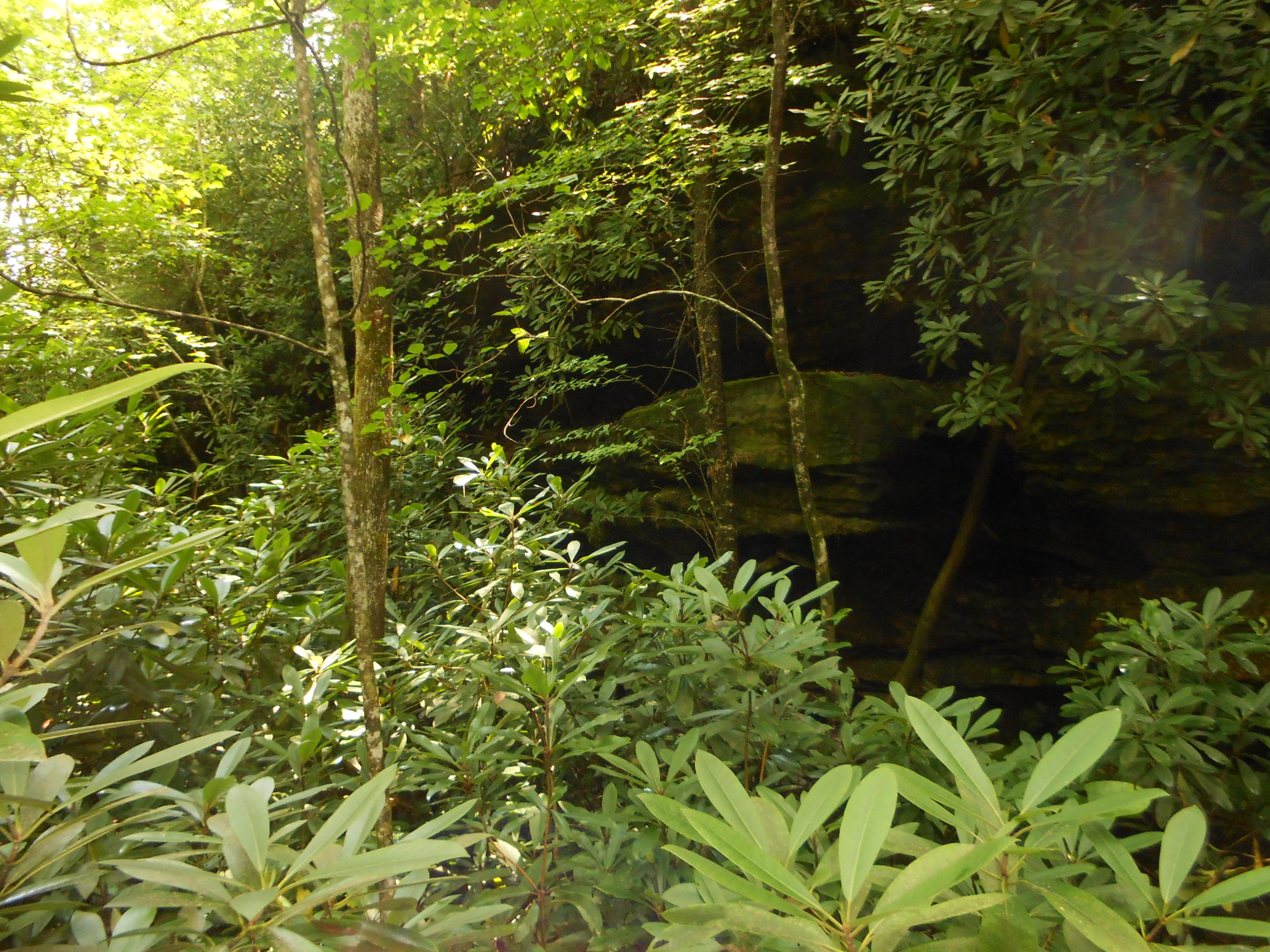 Valley Ridge Road Jamestown, TN 38556 - Photo 24 of 35 DSCN8961