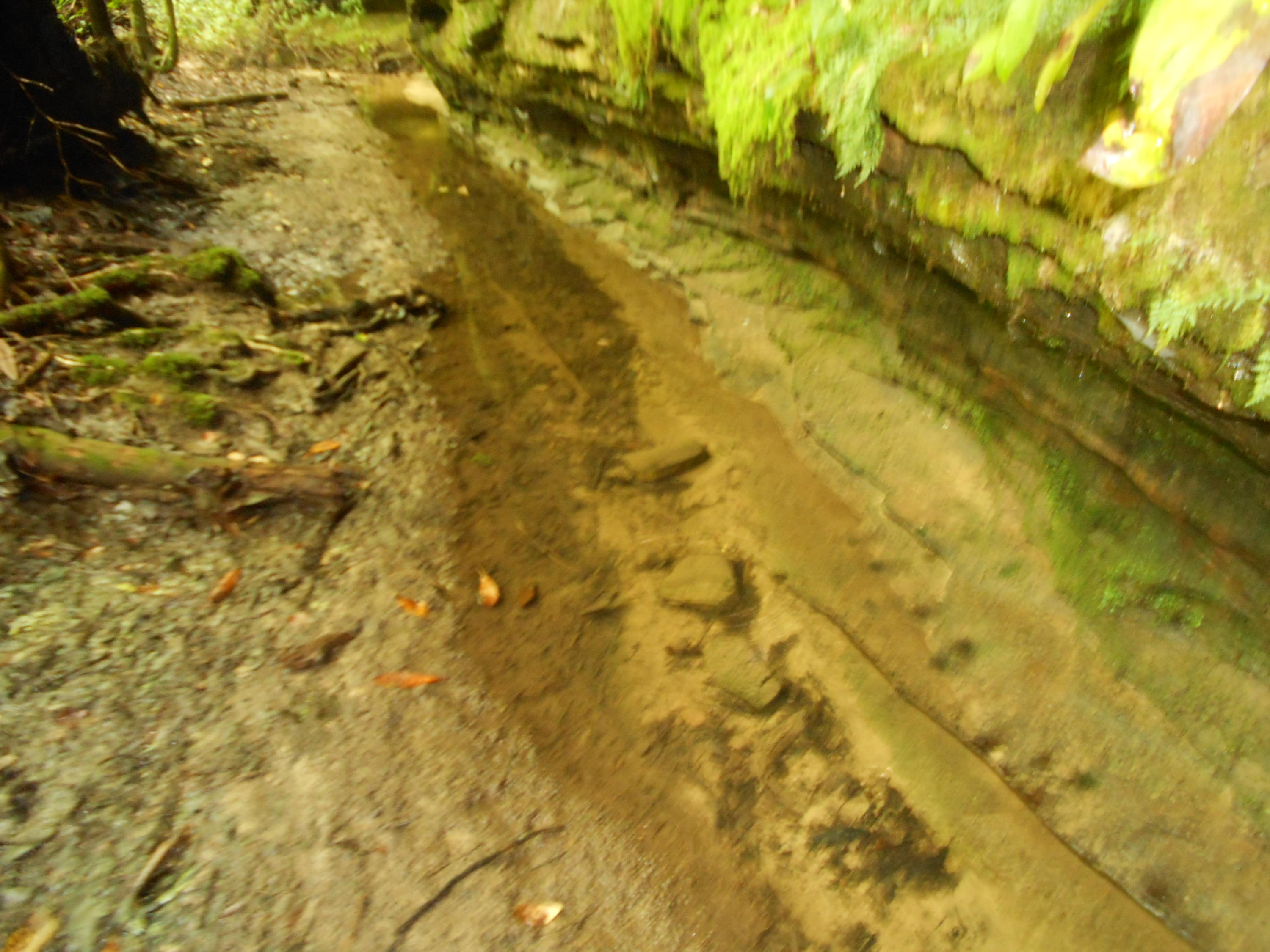 Valley Ridge Road Jamestown, TN 38556 - Photo 25 of 35 DSCN8963
