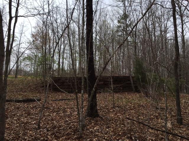 Valley Ridge Road Jamestown, TN 38556 - Photo 34 of 35 IMG_1919