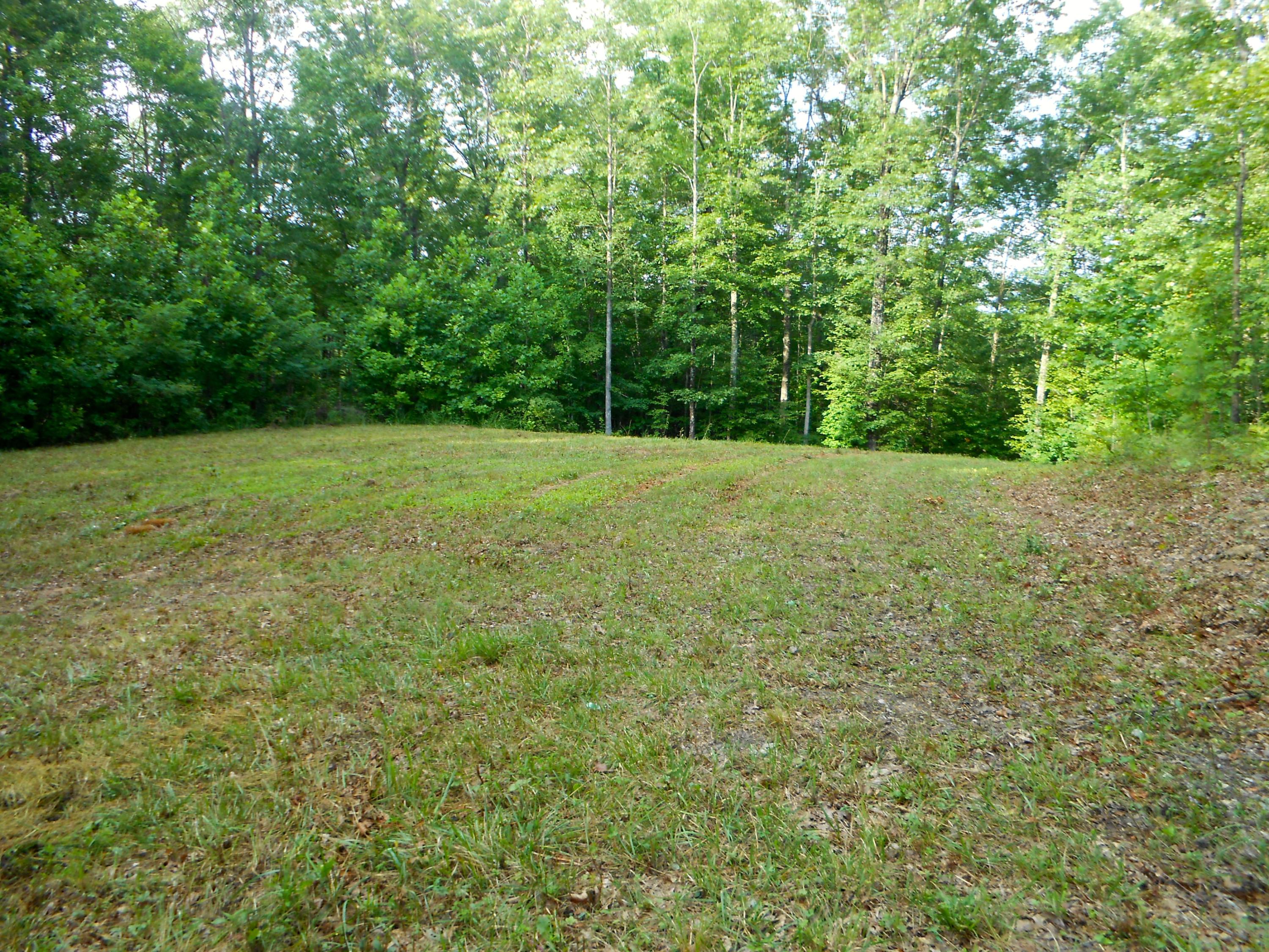 Valley Ridge Road Jamestown, TN 38556 - Photo 5 of 35 DSCN8887