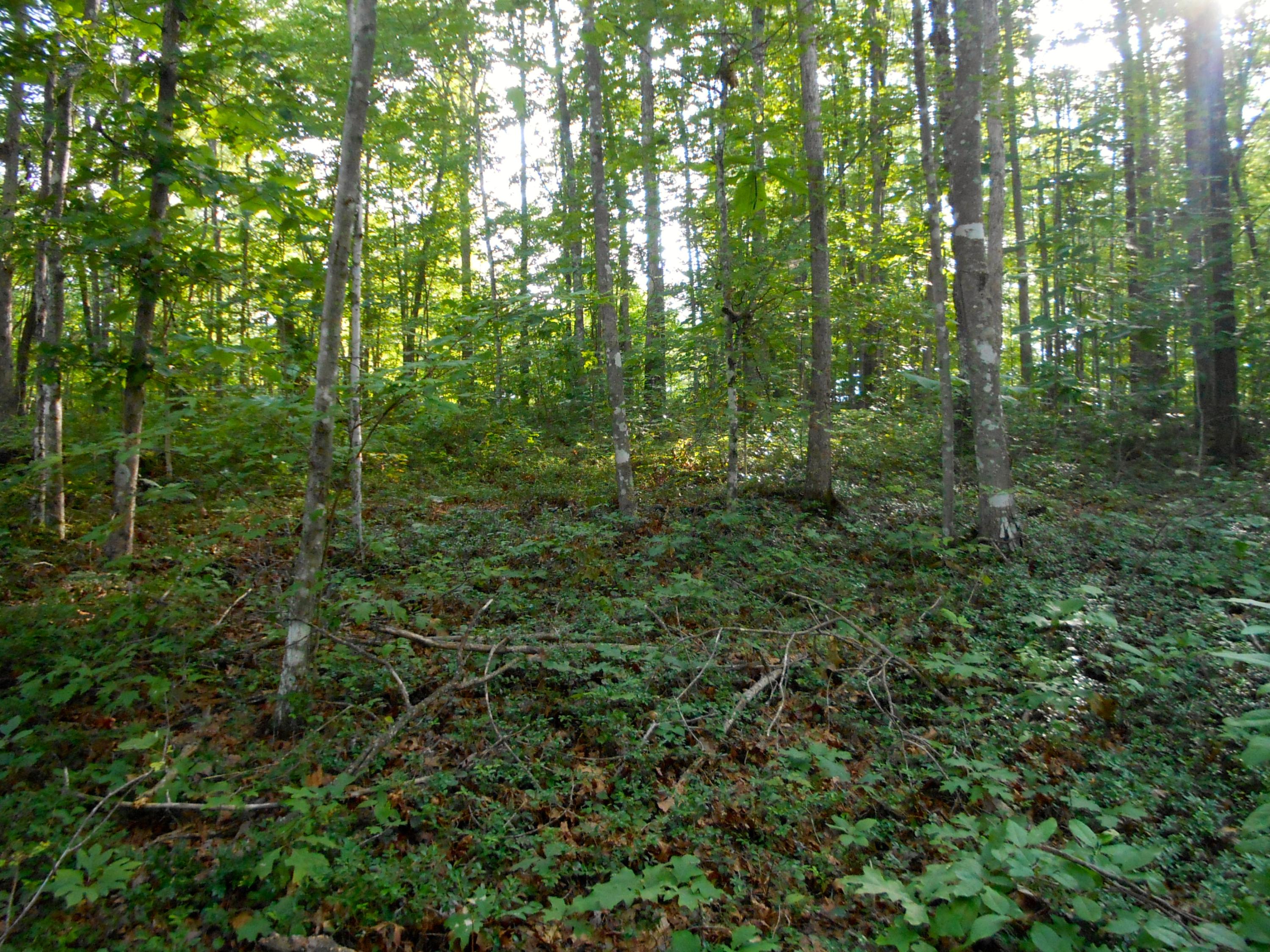 Valley Ridge Road Jamestown, TN 38556 - Photo 6 of 35 DSCN8871