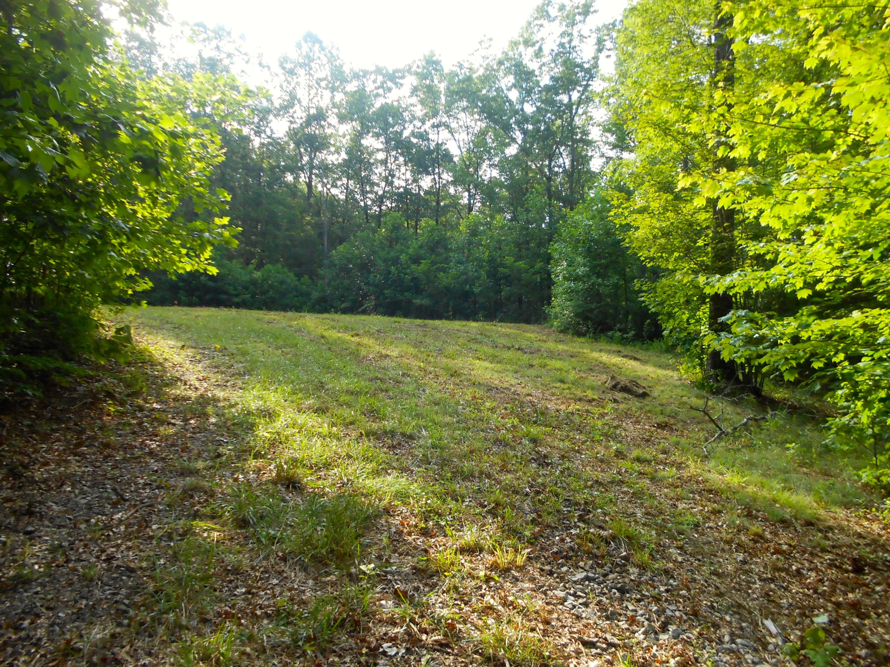 Valley Ridge Road Jamestown, TN 38556 - Photo 10 of 35 DSCN8875