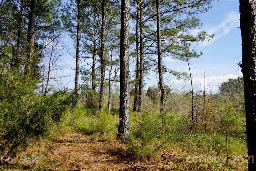7 Old Columbia Road, Unit A Chester, SC 29706 - Photo 11 of 23 a view of a yard