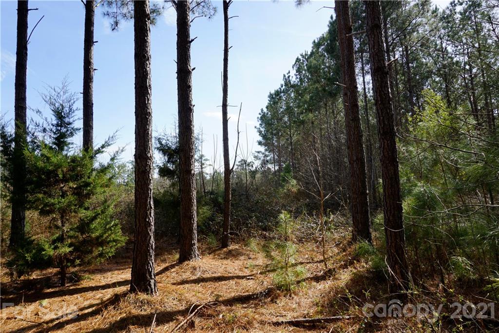 7 Old Columbia Road, Unit A Chester, SC 29706 - Photo 15 of 23