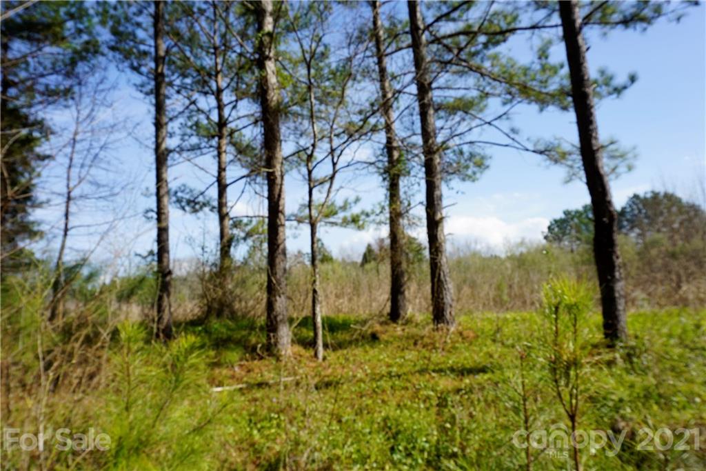 7 Old Columbia Road, Unit A Chester, SC 29706 - Photo 17 of 23 a view of backyard of a building