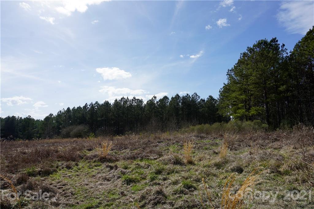 7 Old Columbia Road, Unit A Chester, SC 29706 - Photo 19 of 23 a view of a green field