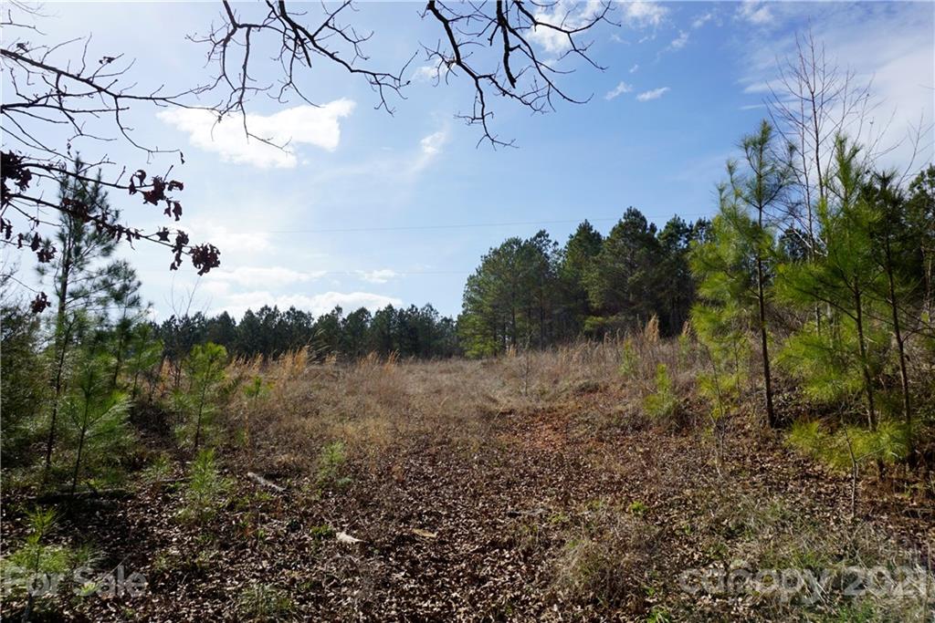 7 Old Columbia Road, Unit A Chester, SC 29706 - Photo 20 of 23 a view of a lake in between the lush green forest