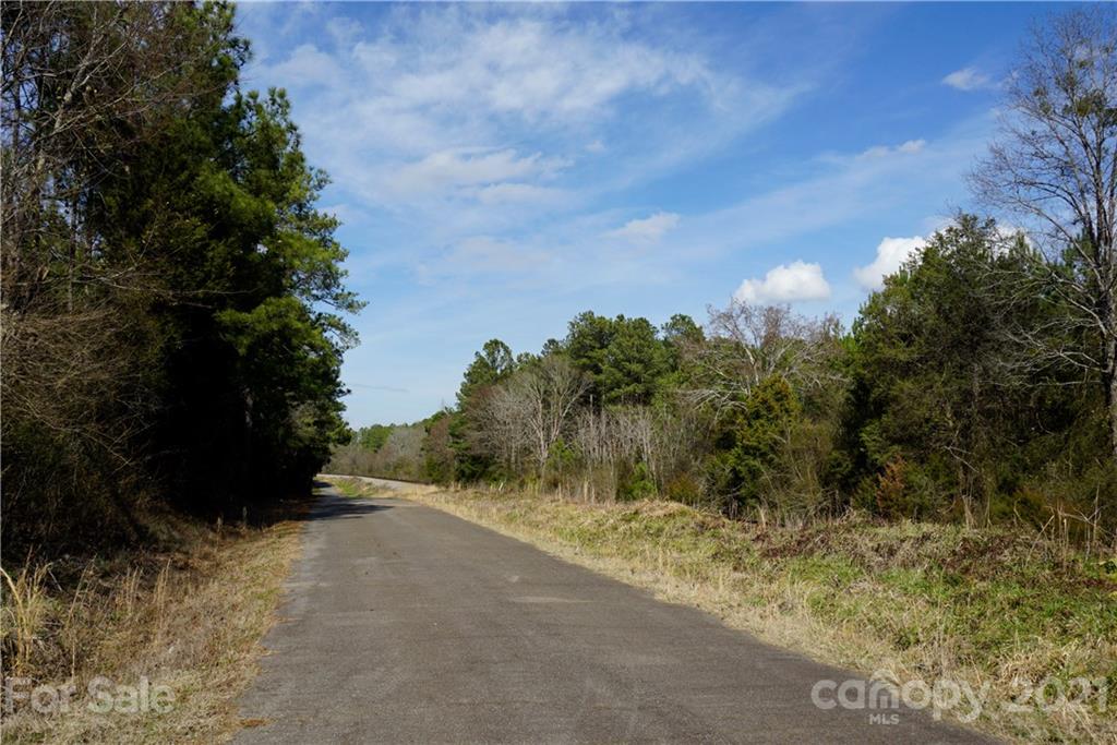 7 Old Columbia Road, Unit A Chester, SC 29706 - Photo 21 of 23 a view of a road with plants and trees