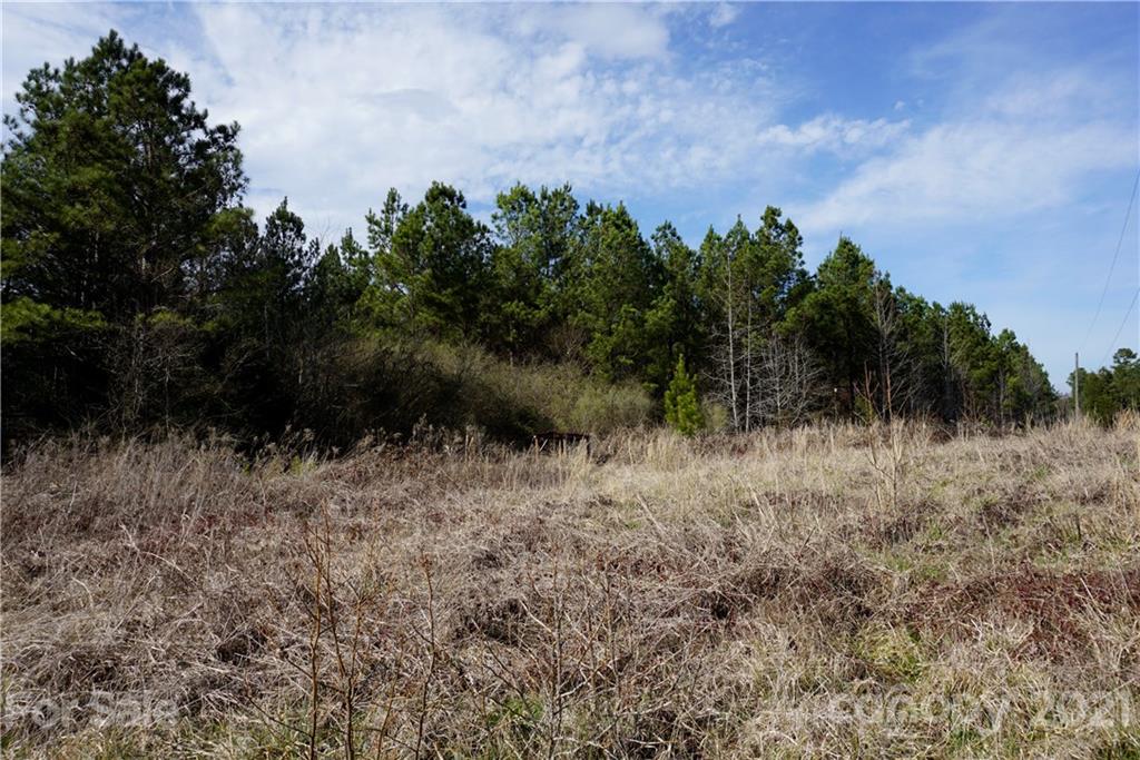 7 Old Columbia Road, Unit A Chester, SC 29706 - Photo 5 of 23 a view of a yard