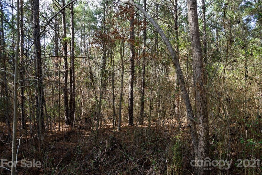 7 Old Columbia Road, Unit A Chester, SC 29706 - Photo 10 of 23 a view of forest