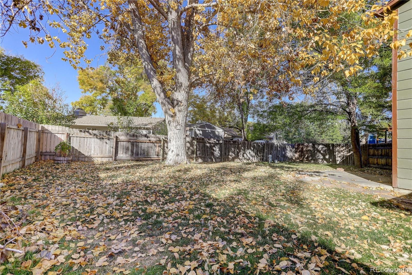 2625 Wapiti Road Fort Collins, CO 80525 - Photo 6 of 33 Gallery Image 6
