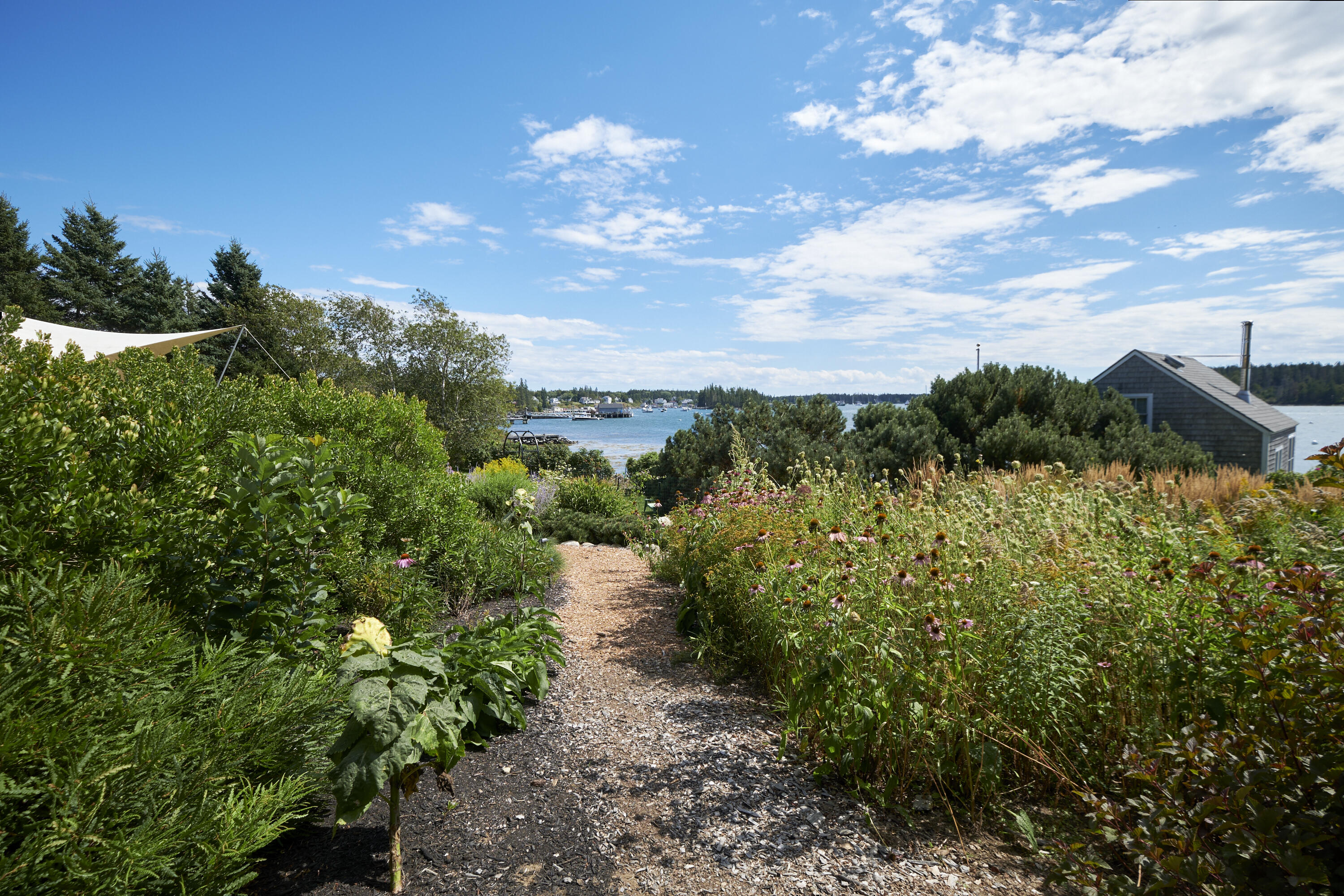 170 Horse Point Road Tenants Harbor, ME 04860 - Photo 10 of 71 09- 170 Horse Point Road - Port Clyde -