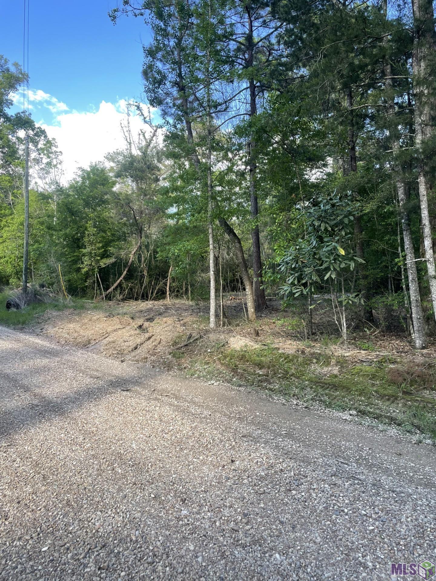 3 3 Knotch Road Clinton, LA 70722 - Photo 2 of 5