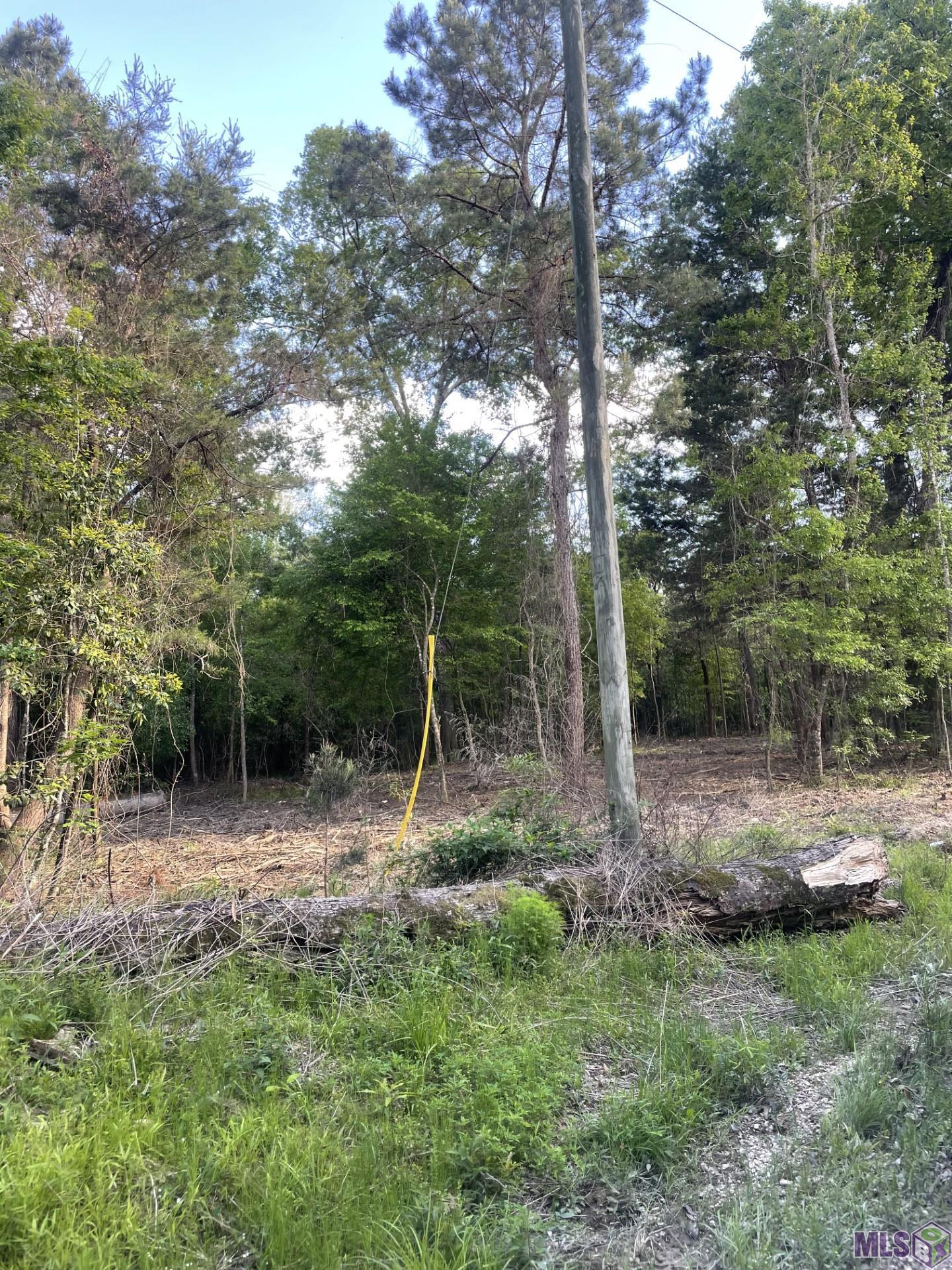 3 3 Knotch Road Clinton, LA 70722 - Photo 4 of 5