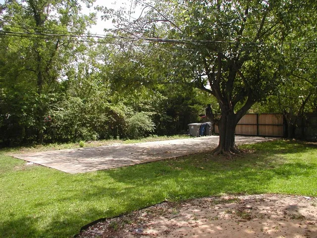 a view of a yard with plants and large trees