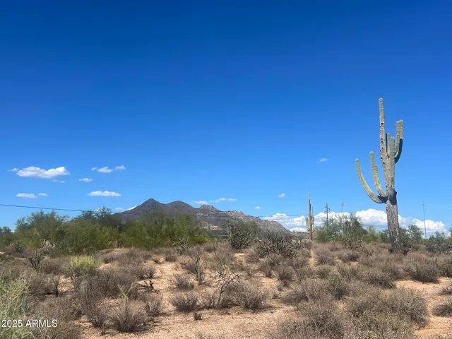 a view of a lake with a beach