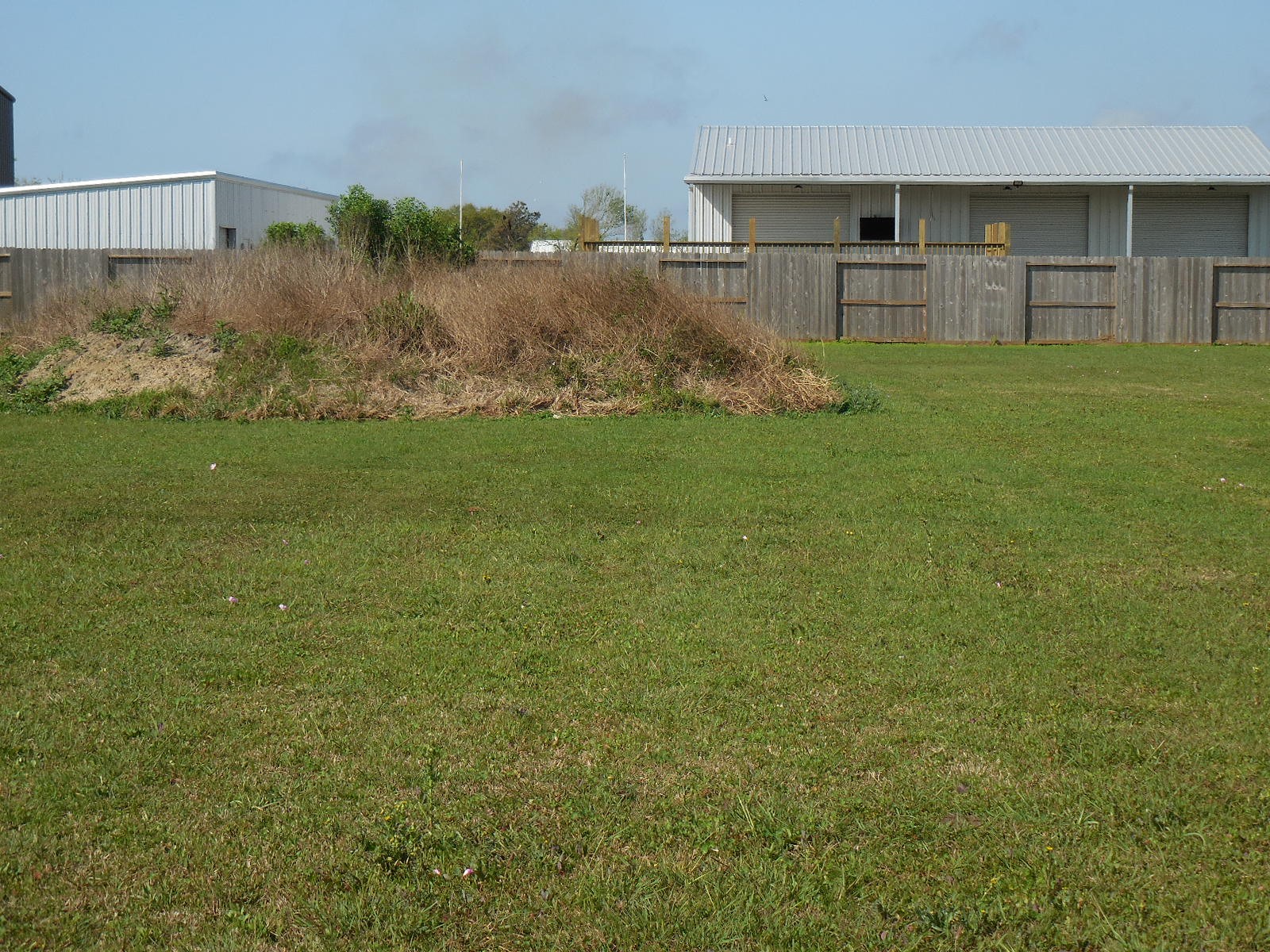 978 County Road 251 Matagorda, TX 77457 - Photo 5 of 9 a front view of house with yard and trees