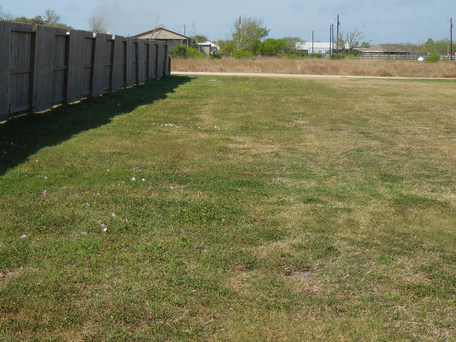978 County Road 251 Matagorda, TX 77457 - Photo 8 of 9 a view of an ocean view