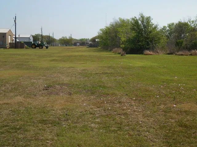 a view of a field with an trees