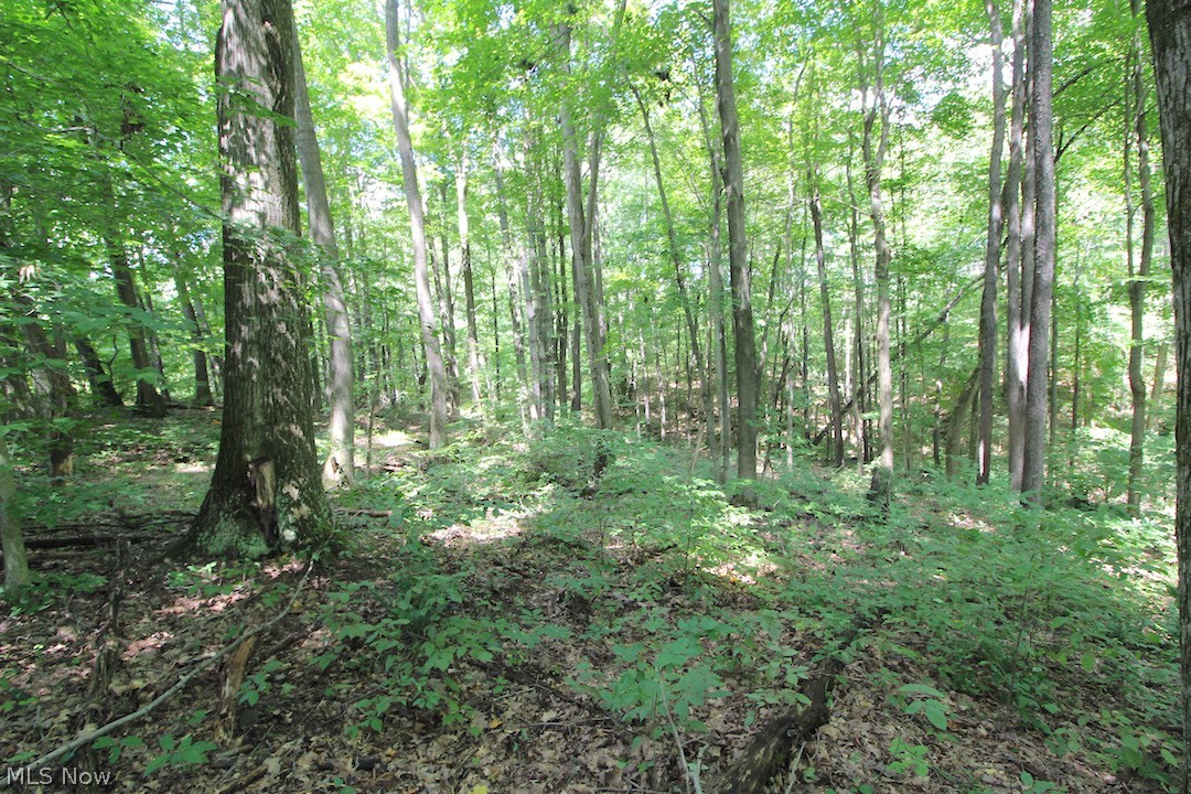 Delphi Road Freeport, OH 43973 - Photo 26 of 35 Gallery Image 26
