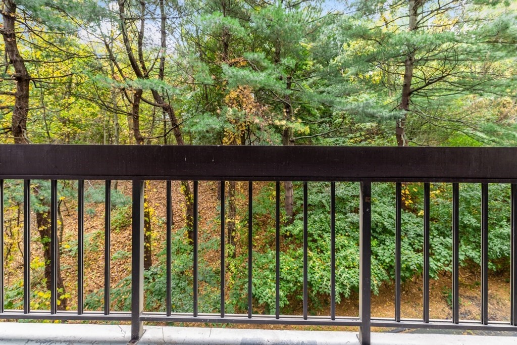 1500 Worcester Road, Unit 321 Framingham, MA 01702 - Photo 36 of 42 a view of a yard