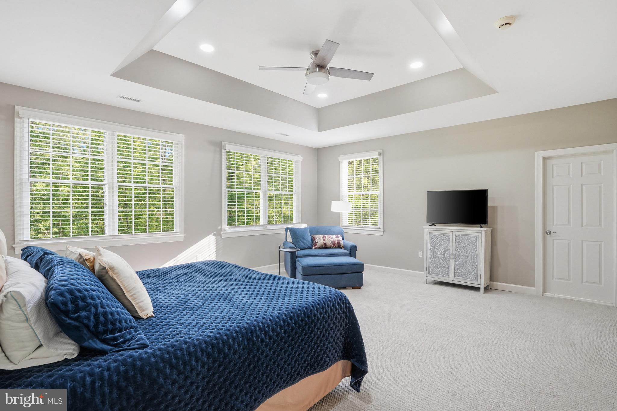 1133 Springvale Road Great Falls, VA 22066 - Photo 43 of 83 tray ceiling