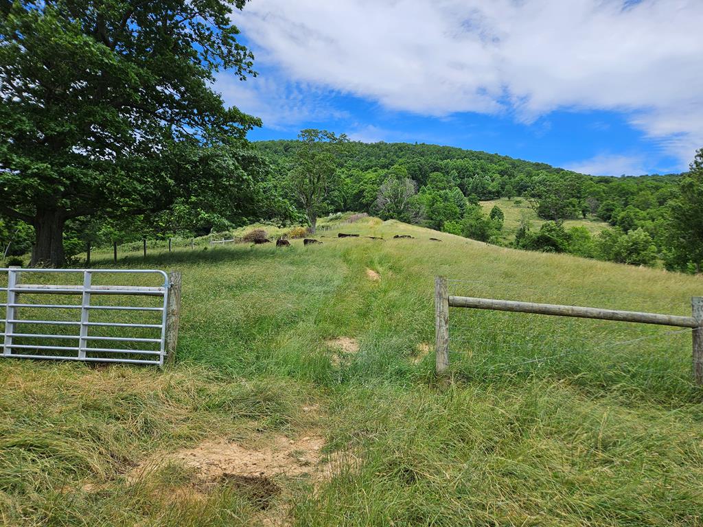 2451 Gratton Road Tazewell, VA 24651 - Photo 46 of 49 Gallery Image 46