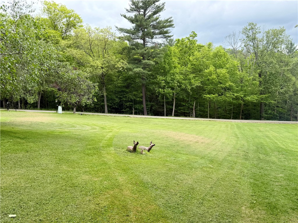 725 Litchfield Road Sayre, PA 18840 - Photo 4 of 40