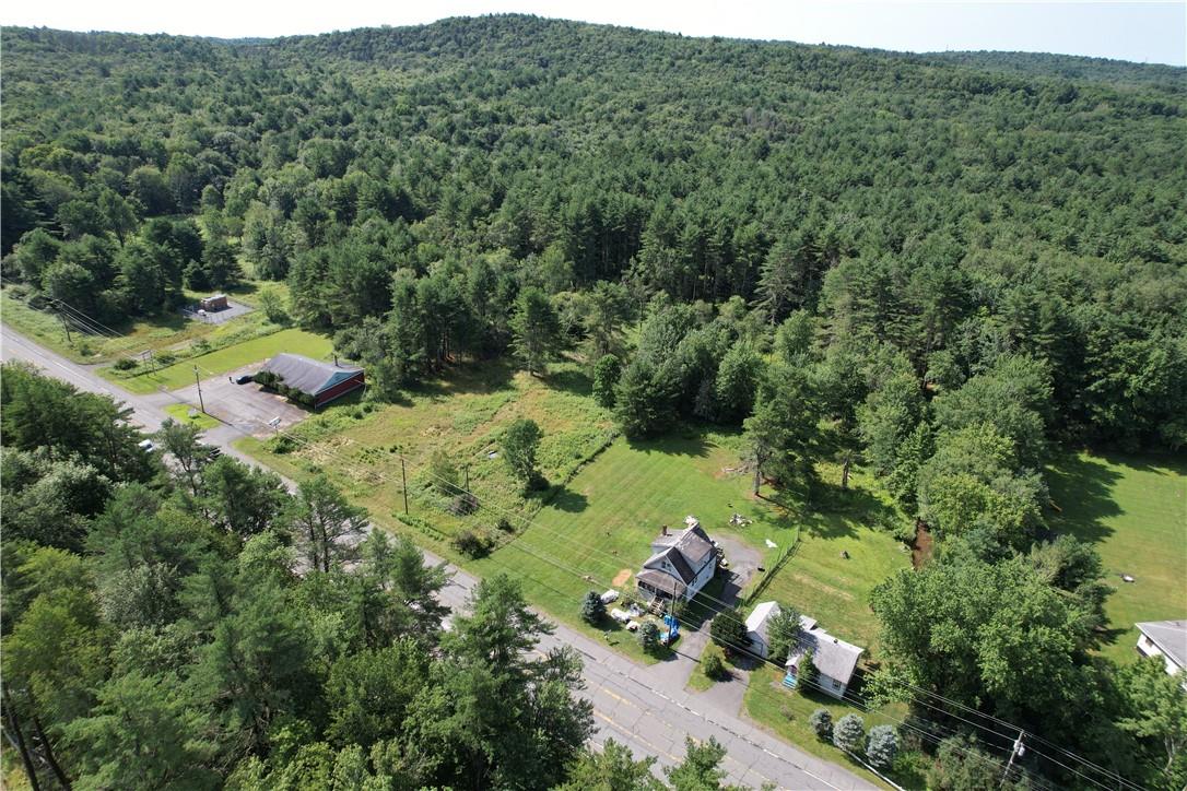 269 State Rt 17B Monticello, NY 12701 - Photo 16 of 18 Aerial view