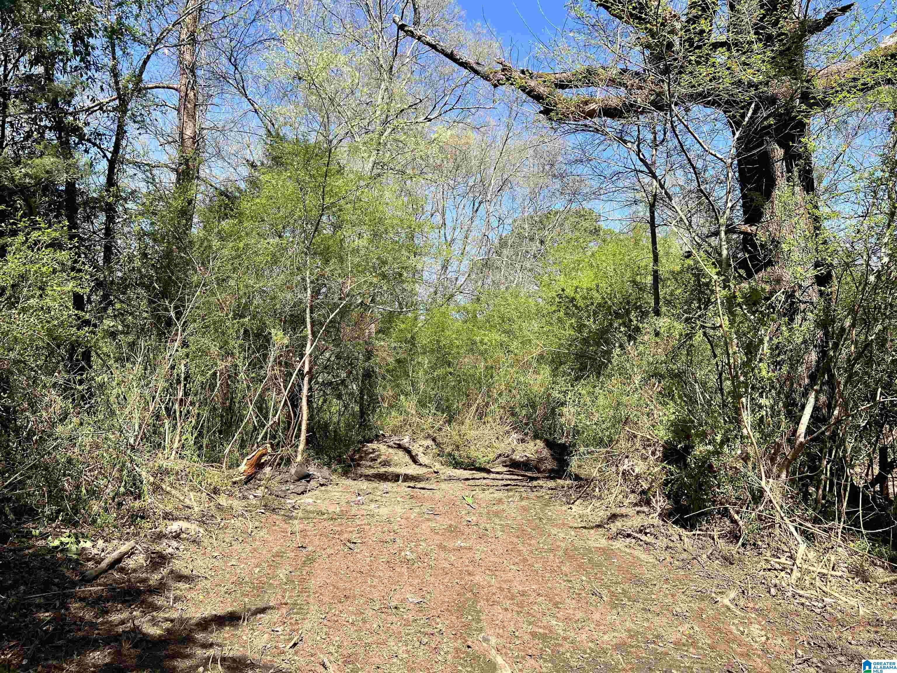6478 Red Hollow Road, Unit 240 Birmingham, AL 35215 - Photo 14 of 38