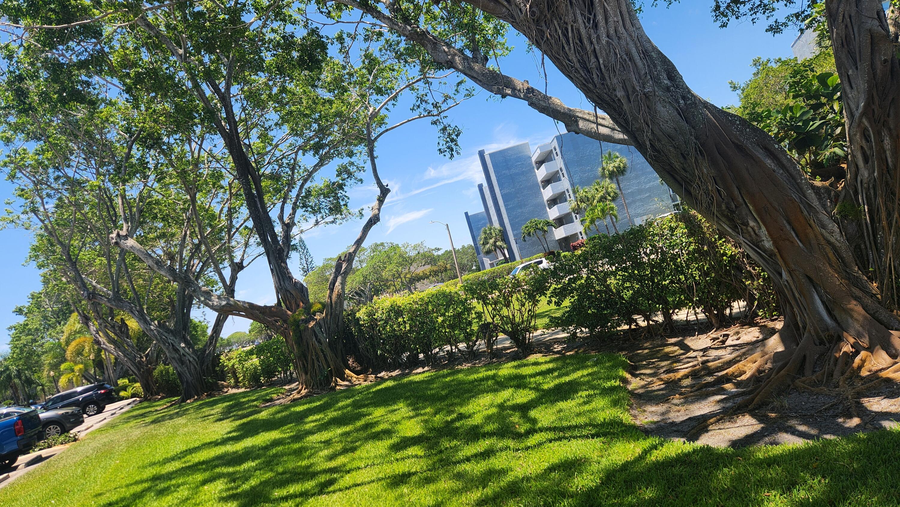6500 Northwest 2nd Avenue, Unit 311 Boca Raton, FL 33487 - Photo 4 of 43 Tree line street
