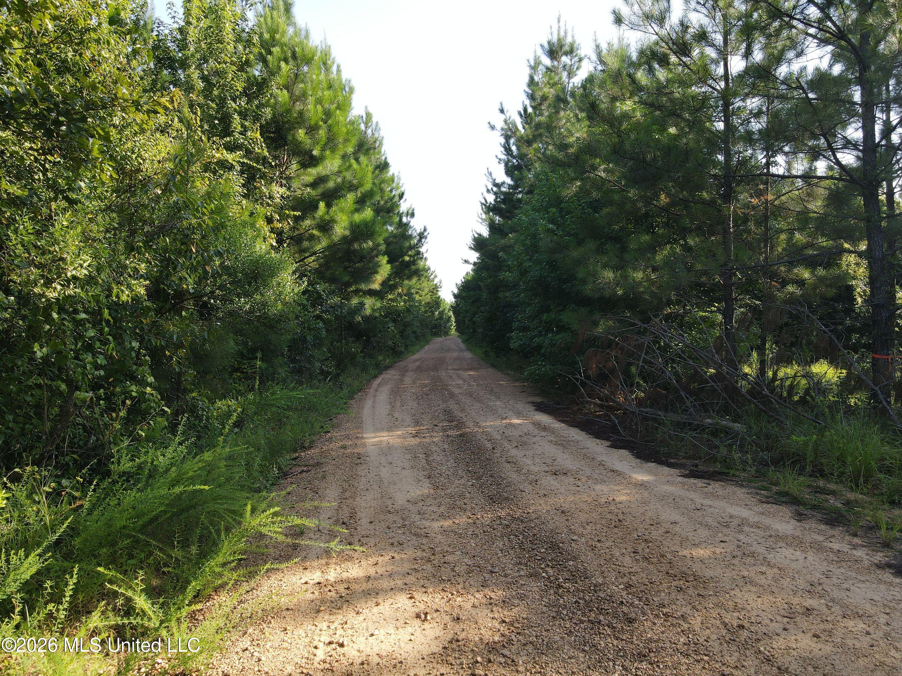 Cupit Rd Union Union Church, MS 39668 - Photo 60 of 61 DJI_0818