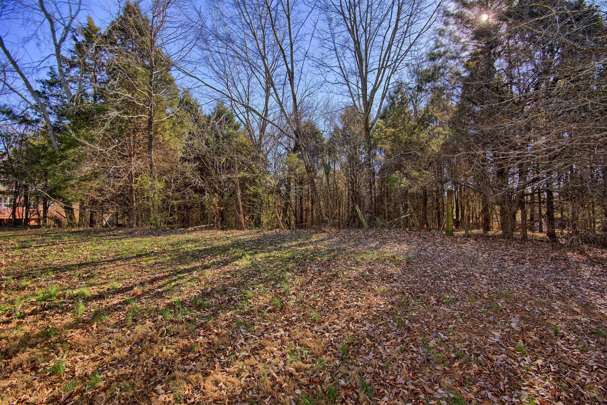 7511 Cherokee Hills Road Fairview, TN 37062 - Photo 3 of 18 a view of outdoor space with deck