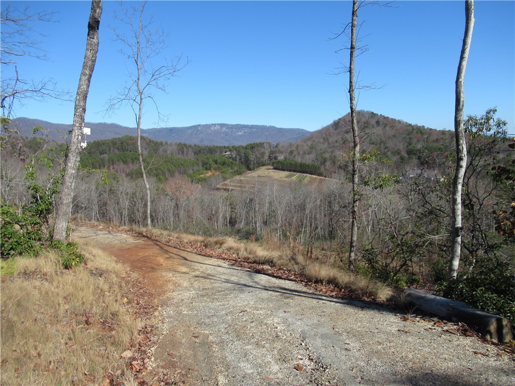 34-35 36 Curts Way Cleveland, SC 29635 - Photo 11 of 33